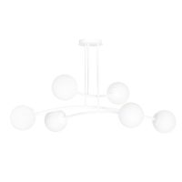 6 WHITE