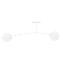 witte 2