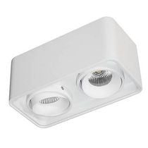 Ceiling light LED adjustable rectangular 195mm 2x10W matt white