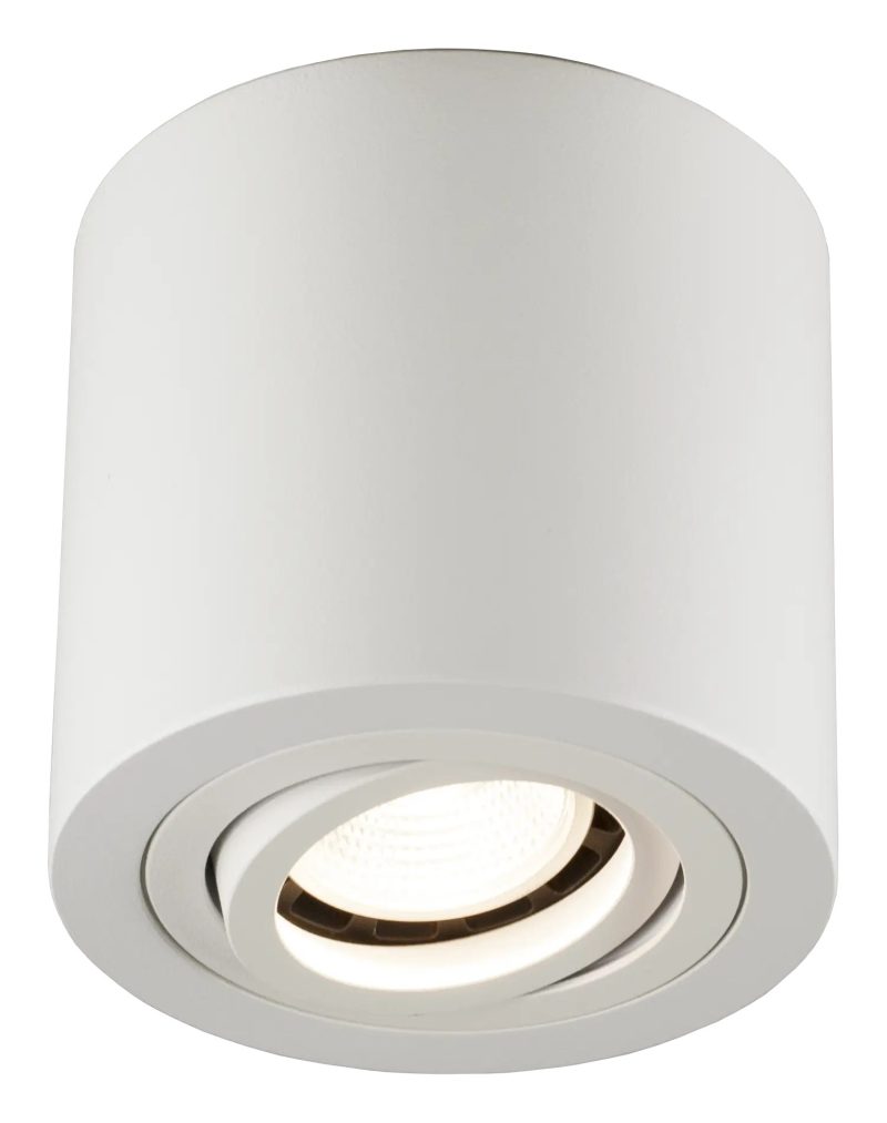 Fantasia Olala surface-mounted spot white, round, adjustable aluminium