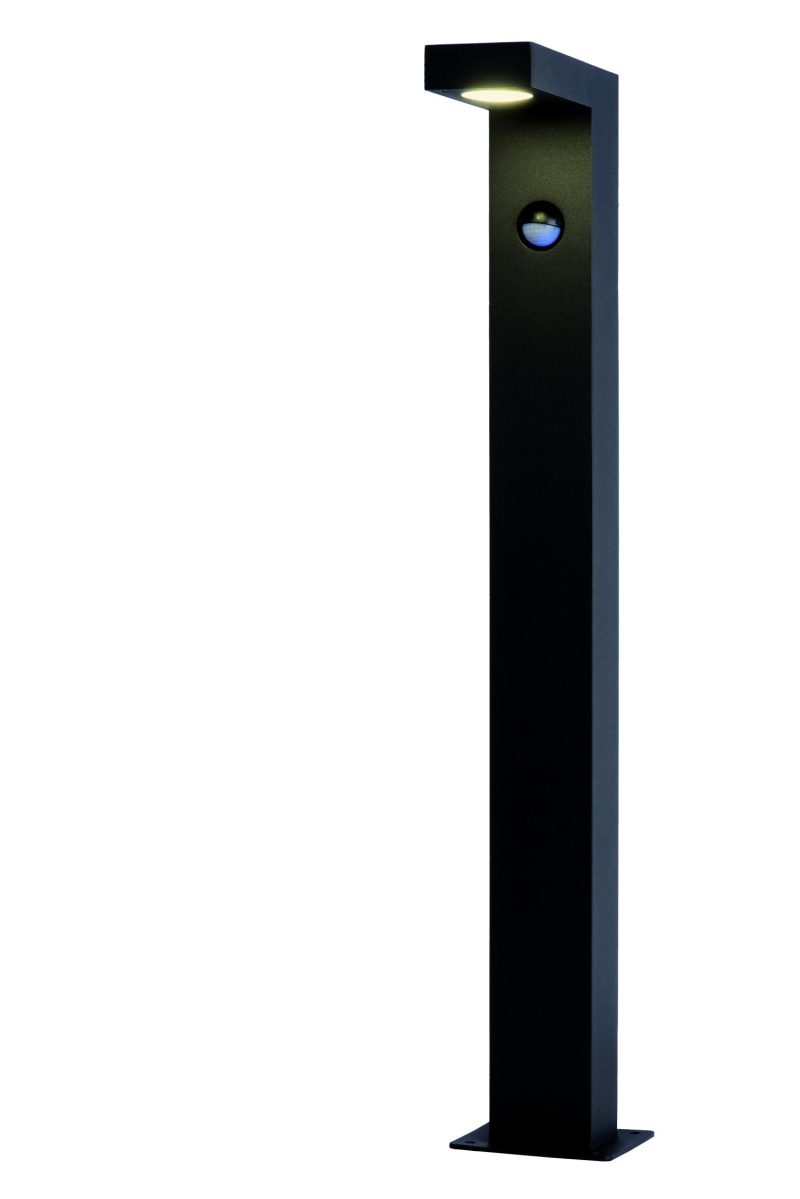 LUCIDE TEXAS-IR - Lámpara de suelo exterior - LED - 1x7W 3000K - Antracita