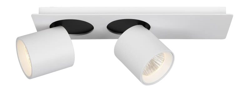 Fantasia Oyo LED ceiling spot 2 adjustable light points, white