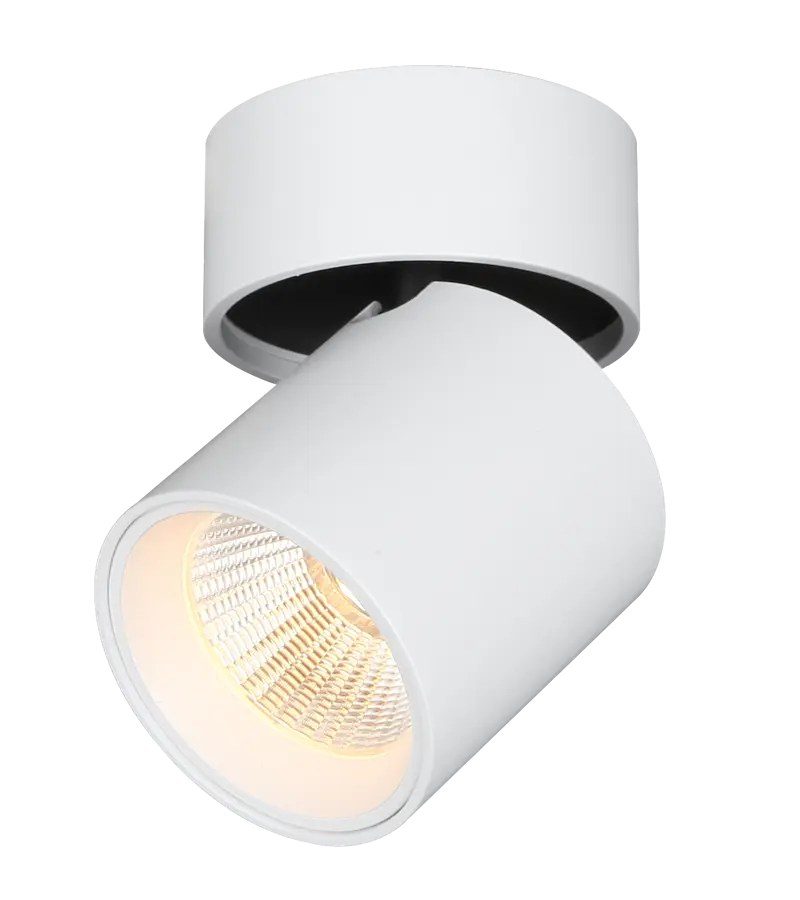Fantasia Oyo round LED surface spot, white, 2700K warm white