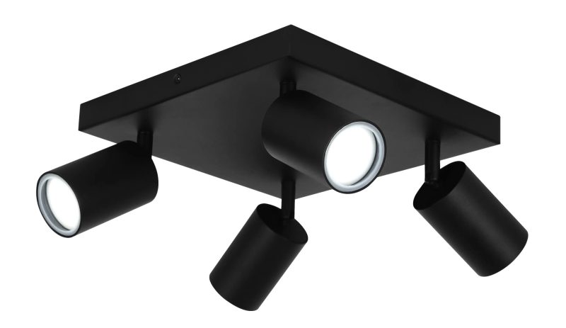 Fantasia Inaki surface-mounted spotlight 4-light black IP44