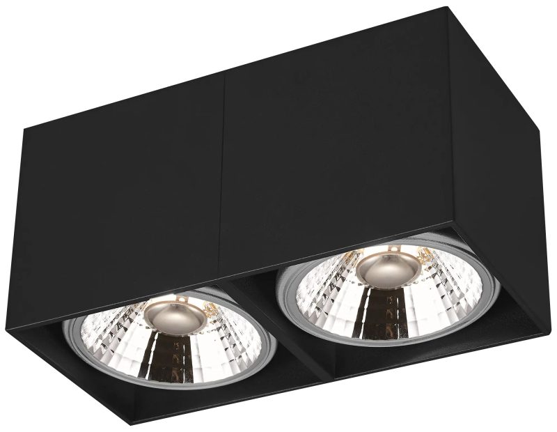Fantasia Box 2L plafondlamp zwart, 2x AR111 12W dimbaar