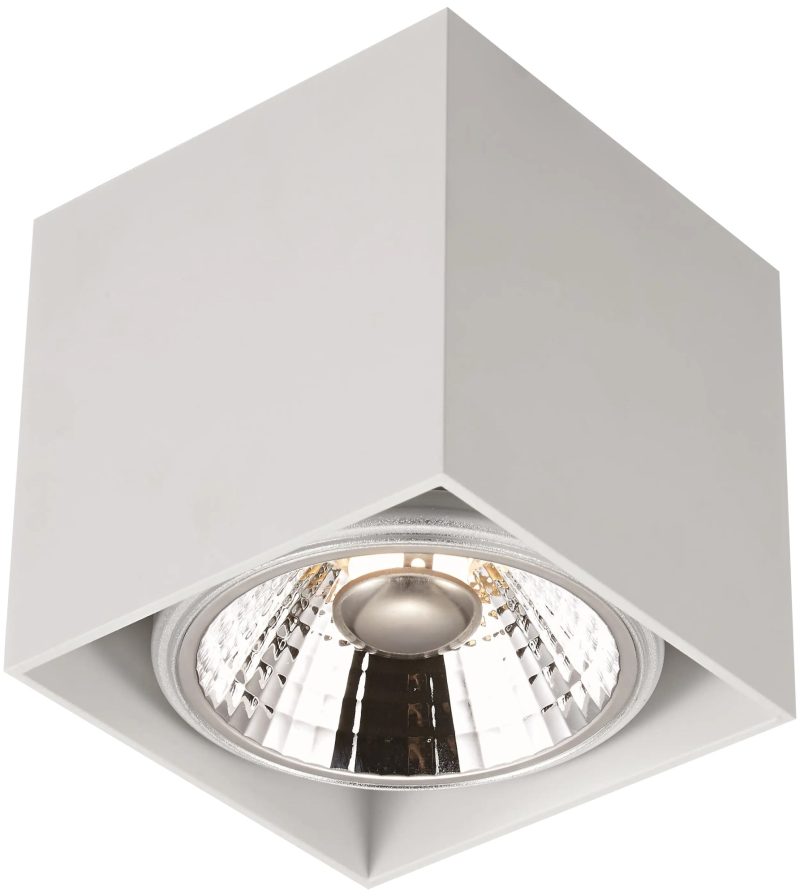 Fantasia BOX-1L plafondspot vierkant wit, AR110 12W dimbaar