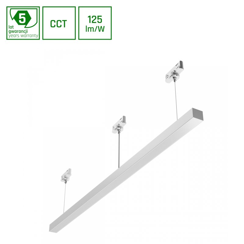 Spectrum LED ALLDAY BASIC 40W 3CCT