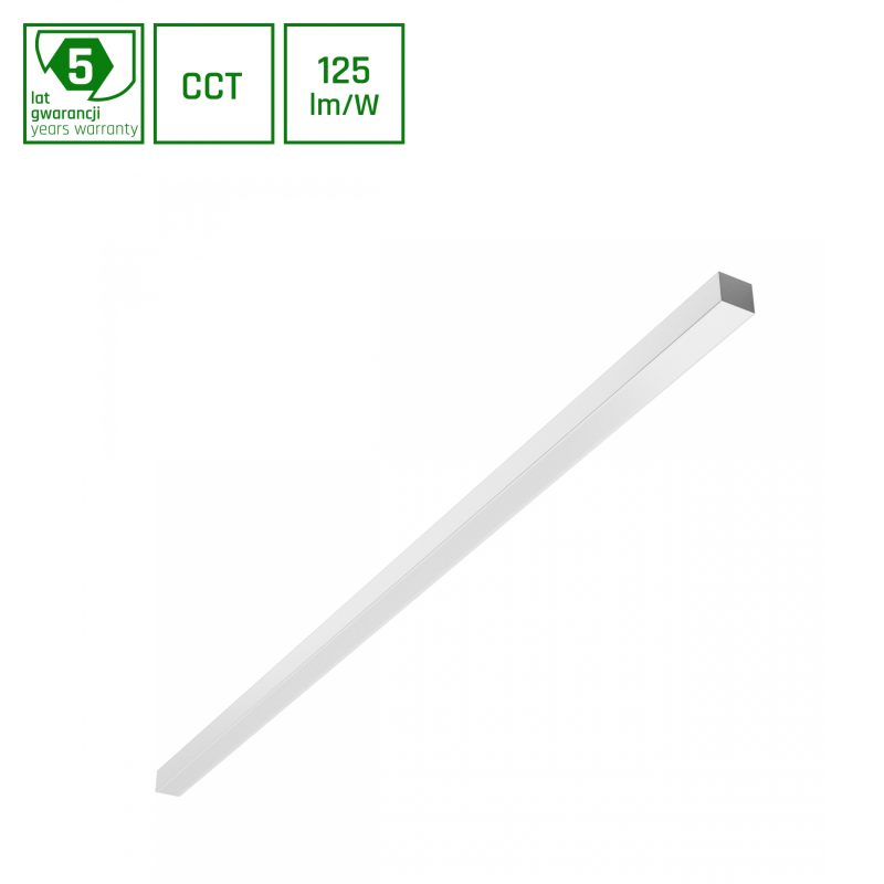Spectrum LED ALLDAY BASIC 50W 3CCT