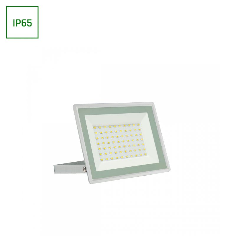 Spectrum LED NOCTIS LUX 3 FLOODLIGHT 50W CW 230V IP65