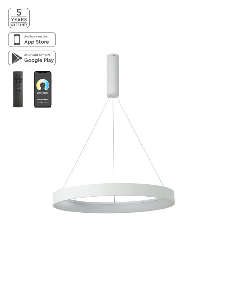 Homelighting Amaya SE LED 60