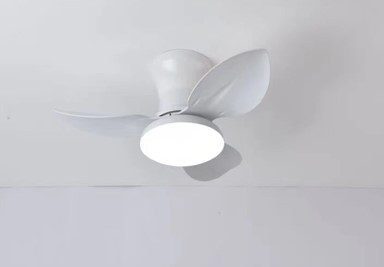 Homelighting Adam SE LED F65