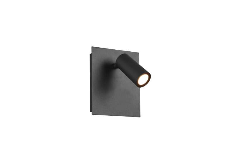 Trio Lighting Tunga richtbare buitenwandlamp LED 4W 3000K antraciet IP54
