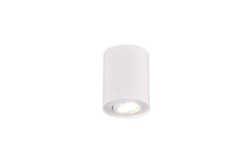 Trio Lighting Foco de techo único orientable redondo 1xGU10 blanco