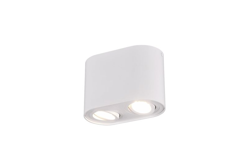 Trio Lighting Foco de techo dúo orientable redondo 2xGU10 blanco mate