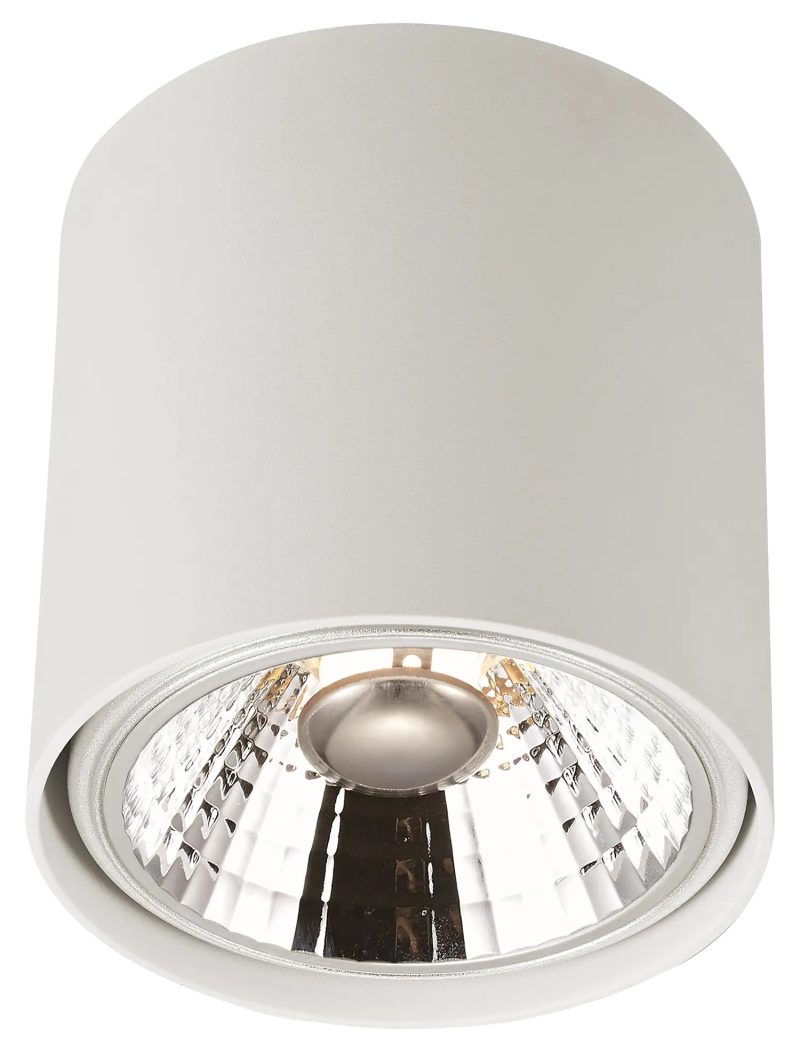 Fantasia Box AR111 plafondspot rond wit, dimbaar 12W 2700K