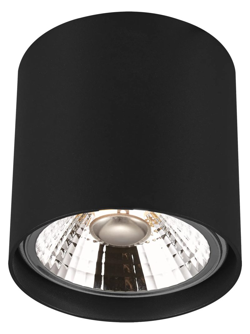 Fantasia Box opbouwspot rond zwart incl. AR111 LED 12,4W dimbaar