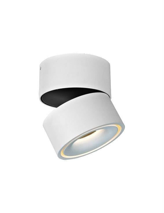 LED plafondspot 9W richtbaar dimbaar wit staal