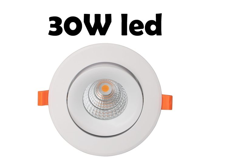 Profy Spot encastrable Profy LED 30W, eclairage viande, 145-170mm
